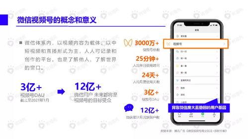 网红吃瓜胖子视频下载安装,轻松获取热门内容