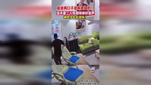 吵架吃瓜现场视频播放下载,吵架吃瓜视频引发网友热议，下载观看揭秘真相