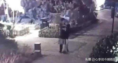 张店吃瓜视频事件,揭秘网络舆论的狂欢与反思