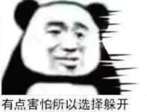 群众吃瓜视频表情包,揭秘网络时代的“瓜界风云”