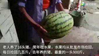 关于视频的吃瓜,那些年我们吃过的瓜，真相大揭秘！