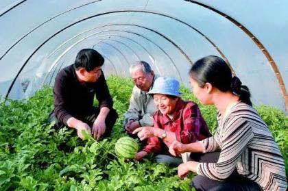 中国人看热闹吃瓜视频,揭秘“吃瓜群众”的娱乐盛宴