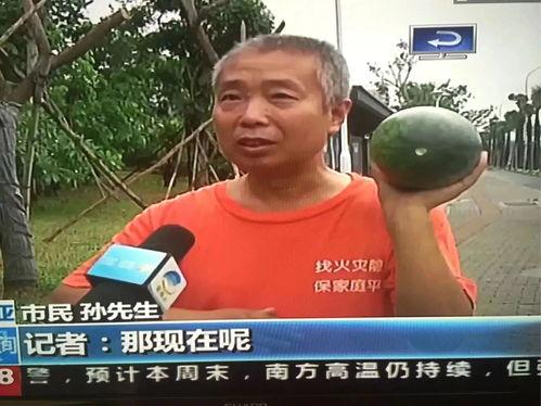 热门吃瓜事件视频,视频背后的真相与争议