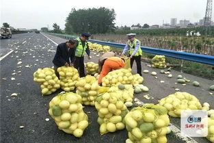 河南婚礼吃瓜视频大全,一场视觉与味蕾的双重盛宴