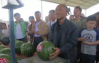 遵义吃瓜群众视频回放,揭秘当地生活百态