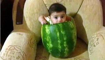 青田网红吃瓜事件视频,一场网络狂欢背后的真相揭秘