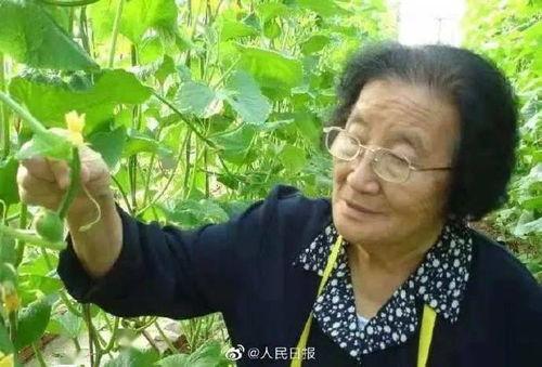 吃瓜小熊云南人视频,探寻云南美食与文化风情