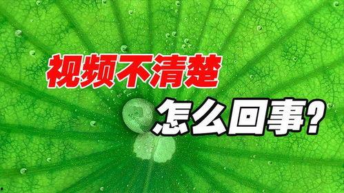 读心声吃大瓜视频,揭秘网络短视频背后的故事