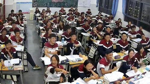 吃瓜协会视频打架,一场网络风波的真相揭秘